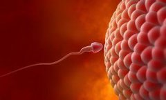 男性精子成活率低怎么治疗